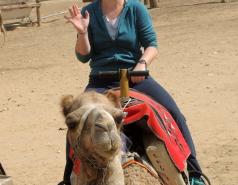 Mamshit picture no. 14