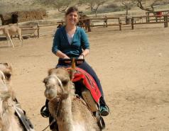 Mamshit picture no. 15