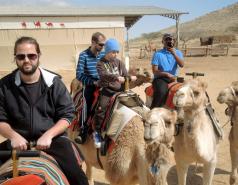 Mamshit picture no. 17