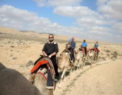 Mamshit picture no. 19