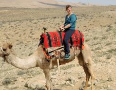 Mamshit picture no. 23