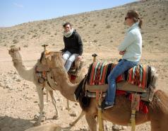 Mamshit picture no. 24