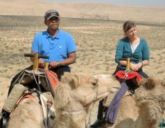 Mamshit picture no. 26