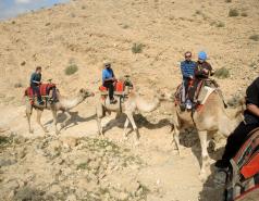 Mamshit picture no. 27