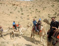 Mamshit picture no. 28