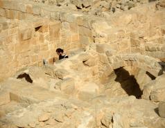 Mamshit picture no. 31