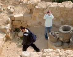 Mamshit picture no. 34