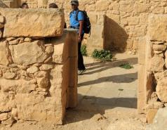 Mamshit picture no. 36