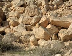 Mamshit picture no. 43