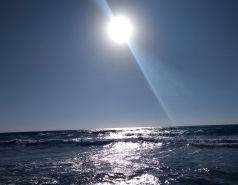 Kupcinet-Getz Summer 2017 picture no. 7