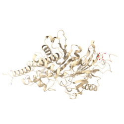 Rational enzyme design