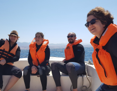 Eilat sample collection 2022 picture no. 8