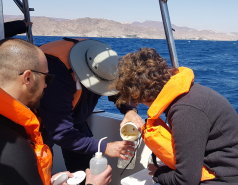 Eilat sample collection 2022 picture no. 13