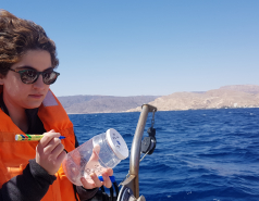 Eilat sample collection 2022 picture no. 12