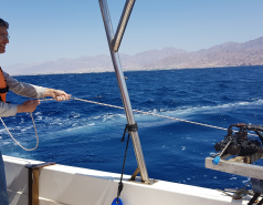 Eilat sample collection 2022 picture no. 10