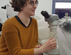 Eilat sample collection 2022 picture no. 18