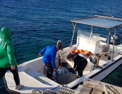 Eilat sample collection 2022 picture no. 21