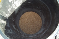 Wheat Sowing 2013 picture no. 2