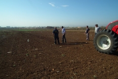 Wheat Sowing 2013 picture no. 5