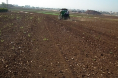 Wheat Sowing 2013 picture no. 6