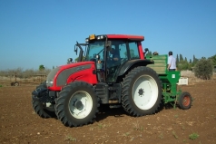 Wheat Sowing 2013 picture no. 7
