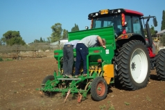 Wheat Sowing 2013 picture no. 9
