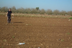 Wheat Sowing 2013 picture no. 11