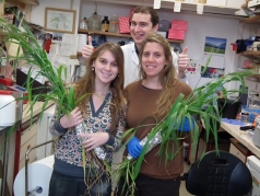 Purim 2012 picture no. 16