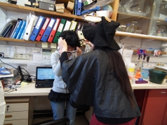 Purim 2012 picture no. 34