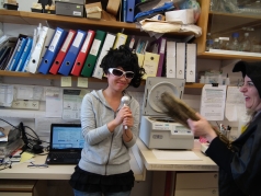 Purim 2012 picture no. 35