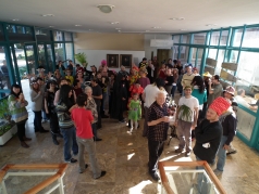 Purim 2012 picture no. 50