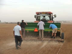 Wheat Sowing 2013 picture no. 13