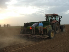 Wheat Sowing 2013 picture no. 15