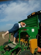 Wheat Sowing 2013 picture no. 17