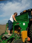 Wheat Sowing 2013 picture no. 18