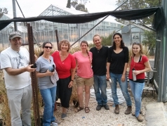 Wild Emmer Wheat 2015 picture no. 3