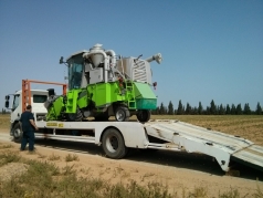 Harvesting Wheat 2015 South picture no. 2