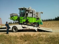 Harvesting Wheat 2015 South picture no. 4