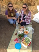 Wheat Harvesting 2015 picture no. 3