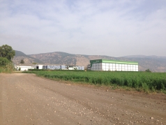 Wheat Harvesting 2015 picture no. 11