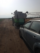 Wheat Harvesting 2015 picture no. 4