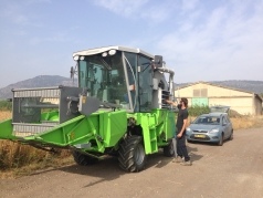 Wheat Harvesting 2015 picture no. 12