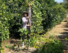 Celebrating Einat's tenure with volunteering and a fancy lunch, July 2025 picture no. 12