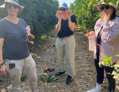 Celebrating Einat's tenure with volunteering and a fancy lunch, July 2025 picture no. 1