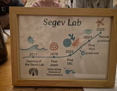 Celebrating Einat's tenure with volunteering and a fancy lunch, July 2025 picture no. 2