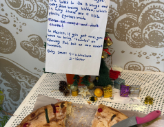  Delia returns to the lab after the holidays in Mexico, January 2026