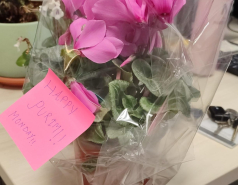 Secret Santa games (Gamad-Anak), March 2025 picture no. 9