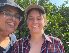 Celebrating Einat's tenure with volunteering and a fancy lunch, July 2025 picture no. 6