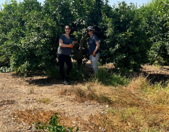 Celebrating Einat's tenure with volunteering and a fancy lunch, July 2025 picture no. 7