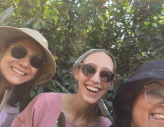 Celebrating Einat's tenure with volunteering and a fancy lunch, July 2025 picture no. 8